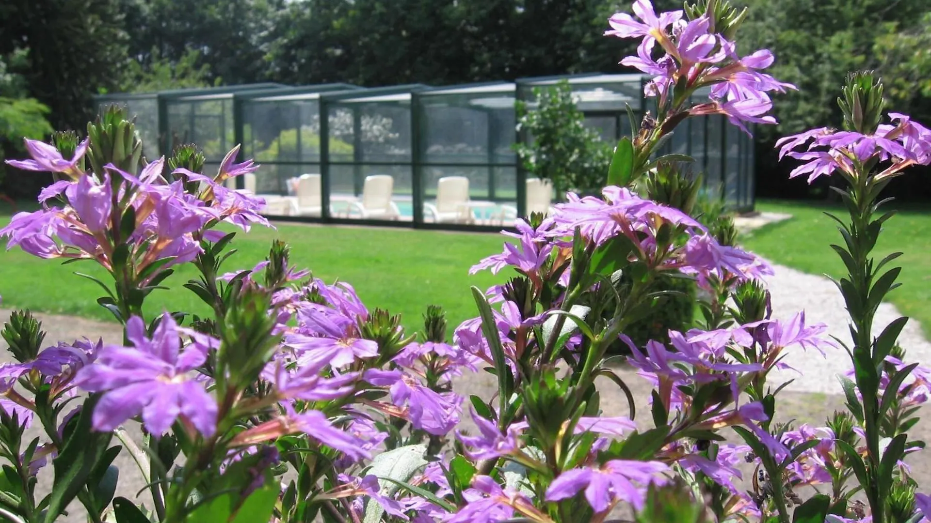Chambres D'Hotes - Au Domaine Des Camelias Bed & Breakfast Plumeliau 0*, Plumeliau-Bieuzy